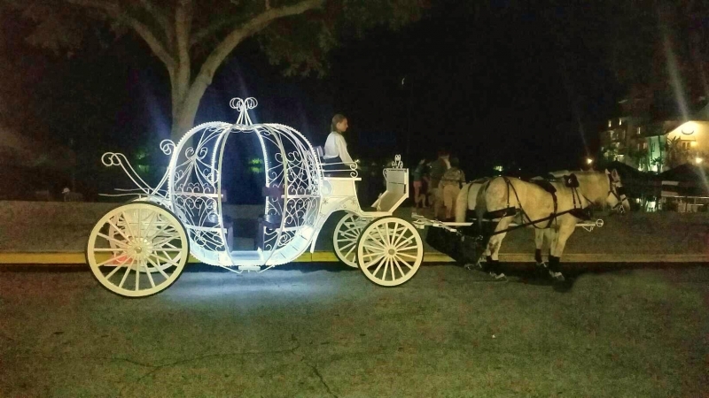 Horse And Carriage Rental Fort Lauderdale